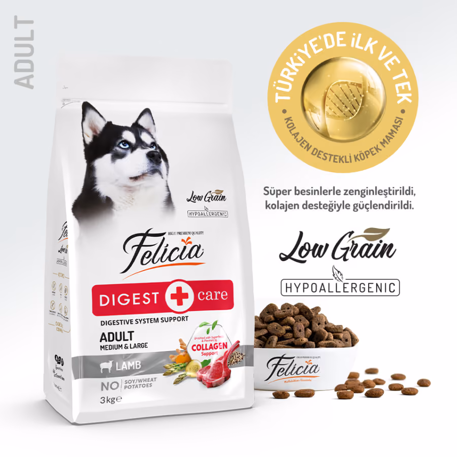 Felicia Digest Care Kuzulu Orta ve Büyük Irk Yetişkin Köpek Maması