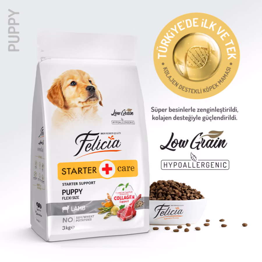 Felicia Starter Care Kuzulu Orta Düşük Tahıllı Puppy Köpek Maması