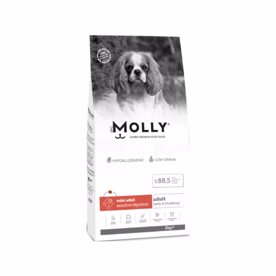 Molly Hipoalerjenik Kuzu Etli ve Yaban Mersinli Küçük Irk Düşük Tahıllı Yetişkin Köpek Maması