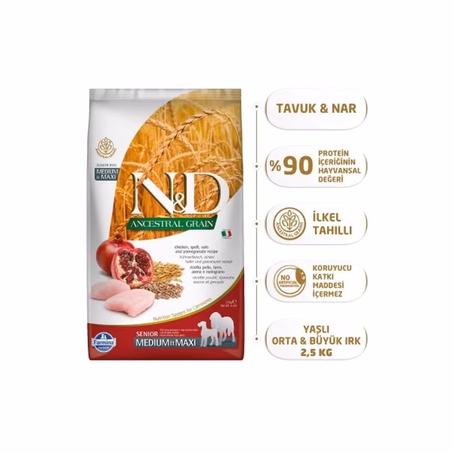 N&D Ancestral Grain Medium Maxi Tavuklu ve Narlı Ata Tahıllı Yaşlı Köpek Maması