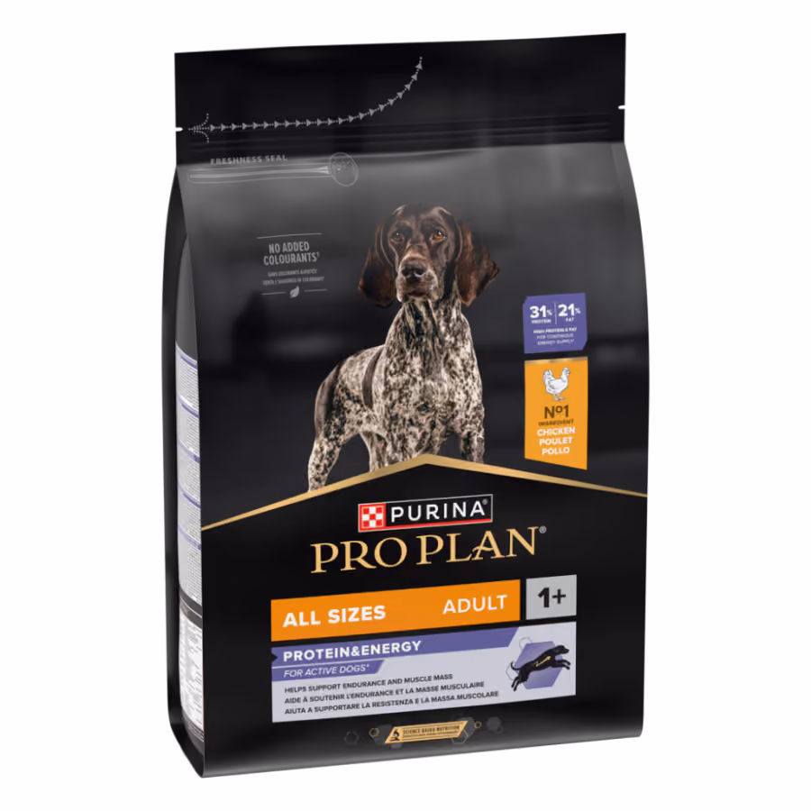 Pro Plan All Sizes Adult Protein&Energy Tavuklu Yetişkin Köpek Maması