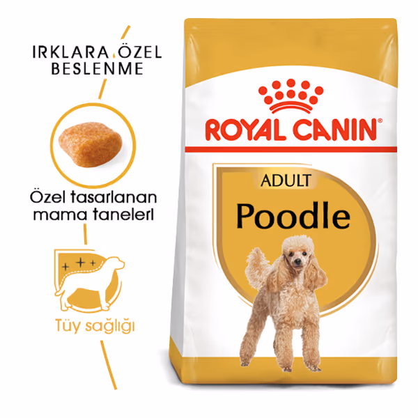 Royal Canin Poodle Adult Yetişkin Köpek Maması