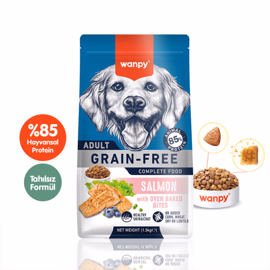 Wanpy Somonlu Tahılsız Yetişkin Köpek Maması